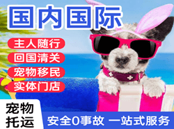 长乐机场托运国际宠物托运 【国